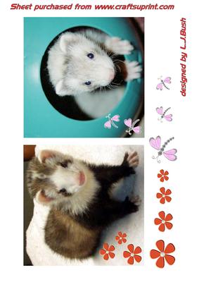 Pretty Ferret Toppers