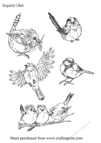 Pretty Vintage Birds line art colour in embellishments