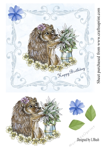 Sweet hedgehog 7 x 7 quick Birthday card front