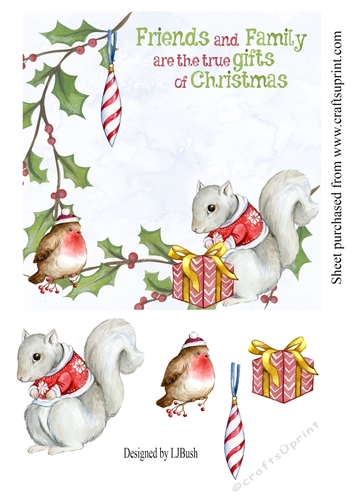 Sweet squirrel and robin Christmas 7 x 7 quick card front