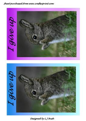 I Give Up! Bunny
