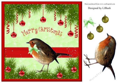 Beautiful 8 x 8 inch Robin Card