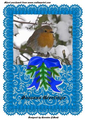 Pretty Robin on Blue Lace A4 Card Front