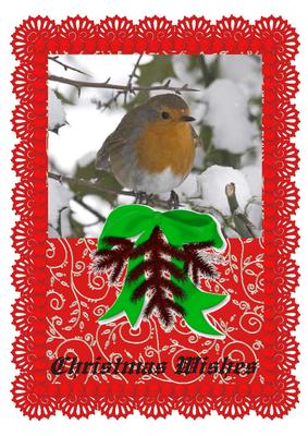 Pretty Robin on Red Lace A4 Card Front