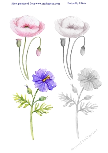 Beautiful Large Poppy and Hibiscus embellishments