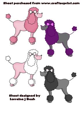 4 Fancy Poodles