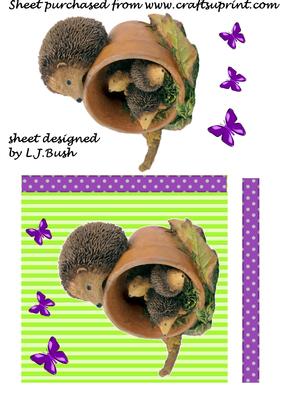 Cute Hedgehogs with Butterflies