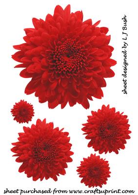 Crysanthimums in Red Embellishments