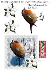Pretty Robin Square Card Front