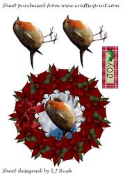 Beautiful Robin in Red Poinsettia Wreath