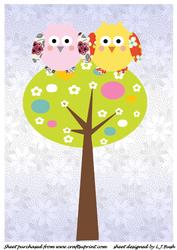 Pretty A4 Owl Couple Card Front