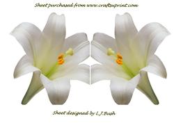 Beautiful Lily Shaped Card