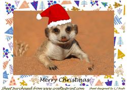 Merry Xmas Smiling Meerkat A4 Card Front