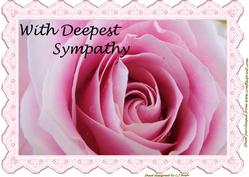 Stunning Pink Rose A4 Sympathy Card Front