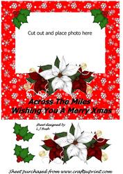 Across the Miles Poinsettia Photocard