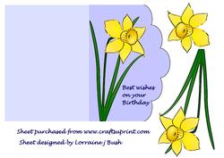 Daffodil Fancy Front Card