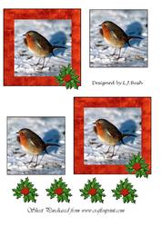 Robins and Holly