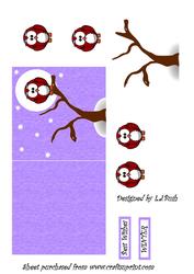 Little Owl Winter