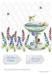 pretty bird bath 8 x 8 card front
