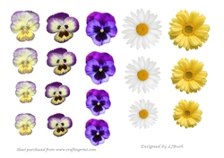beautiful Pansies,Violas and Daisy flower embellishments