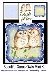 Beautiful Xmas Owls 8 x 8 Mini kit