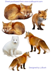 Stunning Fox embellishments