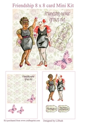 Fantastic Oldies friendship 8 x 8 card Mini Kit