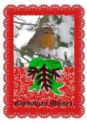 Pretty Robin on Red Lace A4 Card Front