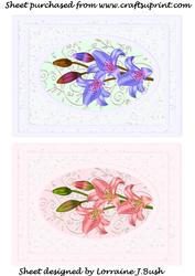 Beautiful Lillies on Lace Backgrounds
