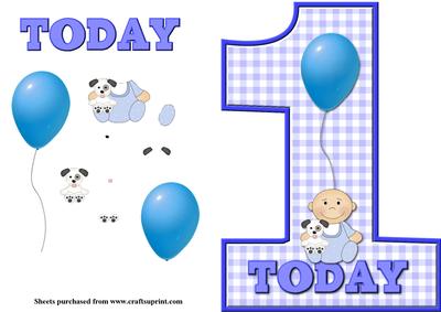 Baby Boys 1st Birthday