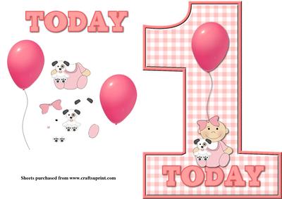 Baby Girl 1st Birthday