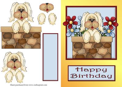 Puppy Birthday 1