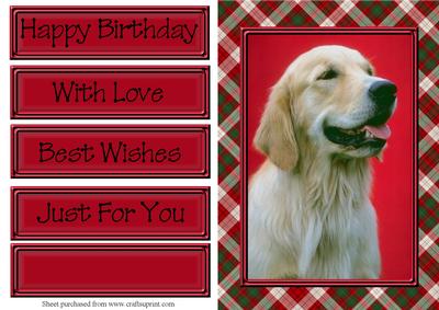 It's a Dogs Life! 2 Quick Card