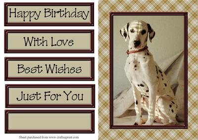 It's a Dogs Life! 3 Quick Card