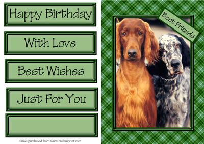 It's a Dogs Life! 4 Quick Card
