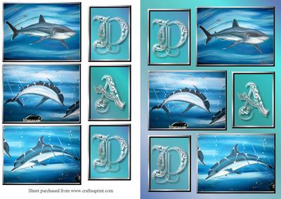 Dads Dolphins Decoupage Quick Card Front