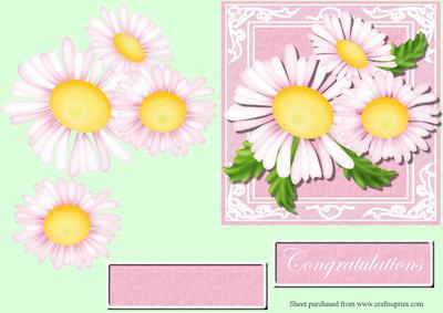 Dazzling Daisies Decoupage Quick Card Front