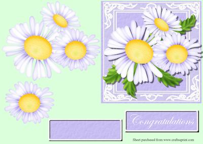Dazzling Daisies 2 Decoupage Quick Card Front