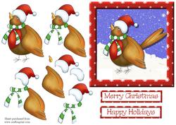 Cute Robin Decoupage Quick Card Front