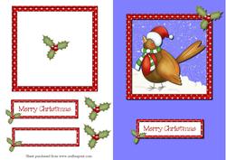 Rockin' Robin Shaker Card with Decoupage