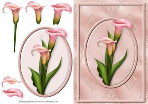 Calla Lilies