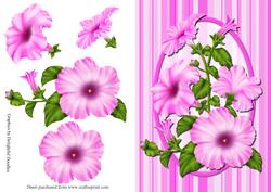 Pink Pertunias