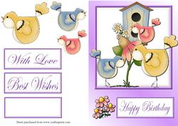 Birdies Quick Card