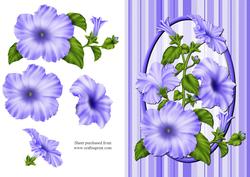 Blue Petunias Quick Card