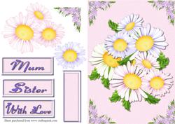 Daisy Delight Quick Card