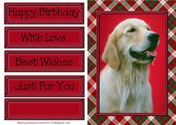It's a Dogs Life! 2 Quick Card