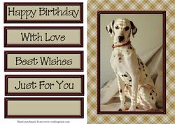 It's a Dogs Life! 3 Quick Card