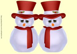 Christmas Snowman Shaped Card