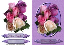 Lilac Roses Quick Card