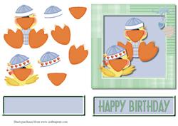 Baby Boy Quackups Quick Card